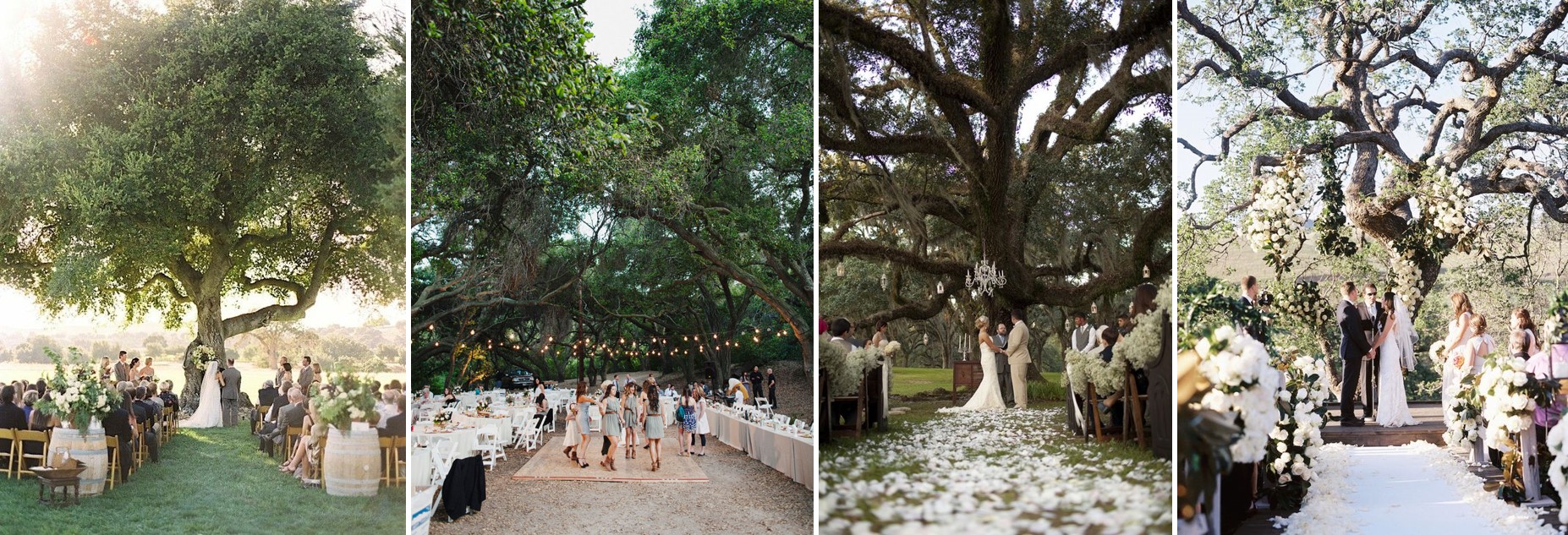 выездная регистрация под деревом